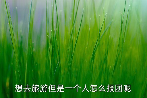 想去旅游但是一个人怎么报团呢