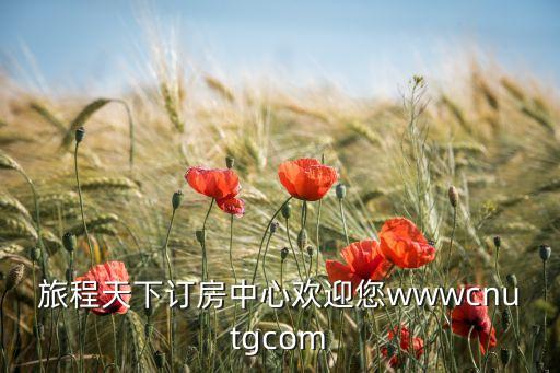 旅程天下订房中心欢迎您wwwcnutgcom