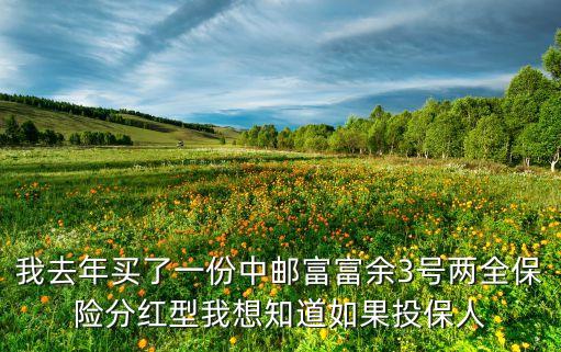 大家养老养多多3号在哪投保，我去年买了一份中邮富富余3号两全保险分红型我想知道如果投保人
