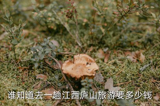 谁知道去一趟江西庐山旅游要多少钱