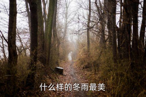 什么样的冬雨最美