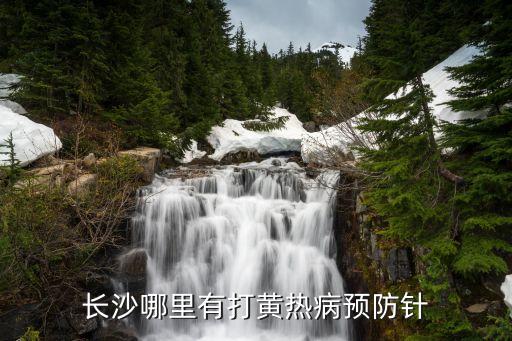 附近国际旅行社有黄热疫苗打，长沙哪里有打黄热病预防针
