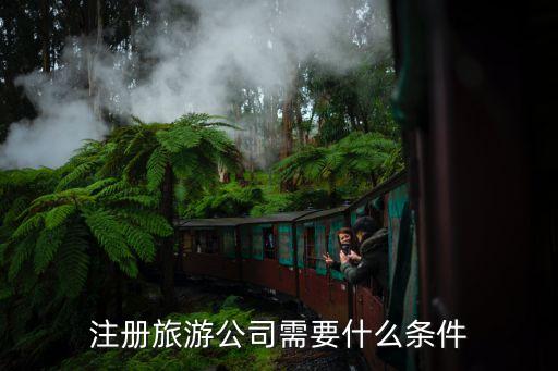注册旅游公司需要什么条件