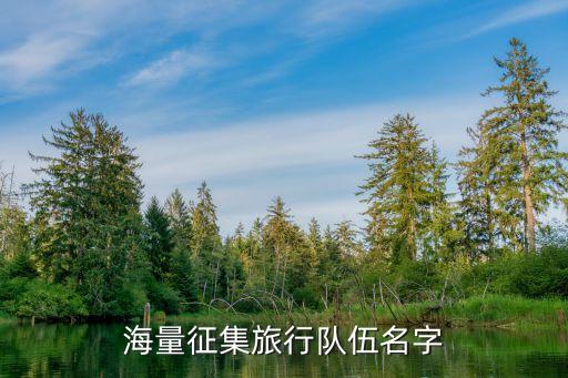 学生旅游团队名称大全集，求一旅行社团名字
