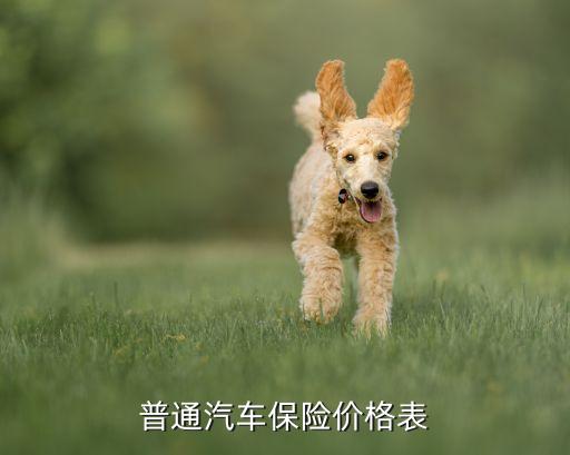 普通汽车保险价格表