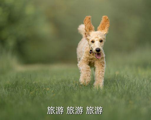 旅游 旅游 旅游