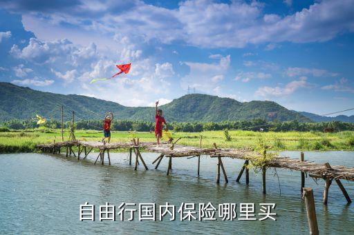 自由行国内保险哪里买