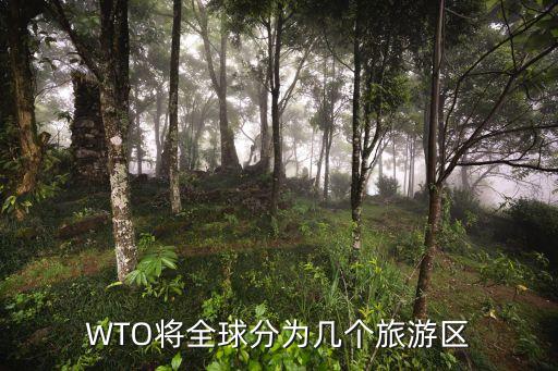 WTO将全球分为几个旅游区