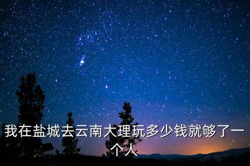 我在盐城去云南大理玩多少钱就够了一个人