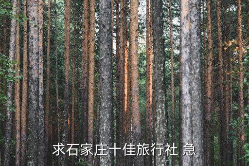 石家庄比较好的旅行社，石家庄有那些旅行社比较好