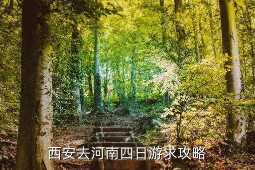 西安去河南四日游求攻略