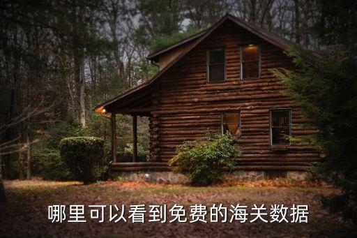 海关数据查询平台，海关数据海关数据哪里有全球海关数据卖或者美国的海关