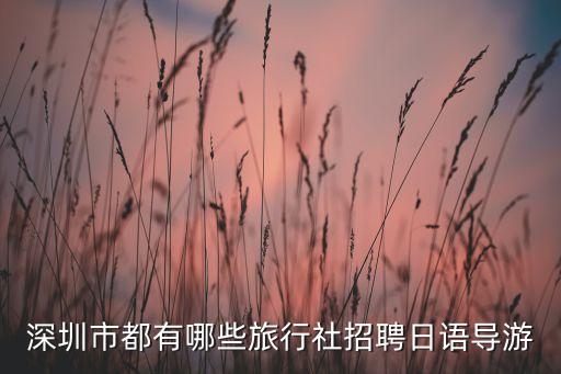 深圳市都有哪些旅行社招聘日语导游