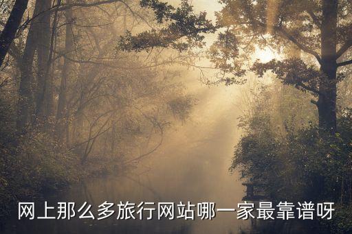 网上那么多旅行网站哪一家最靠谱呀