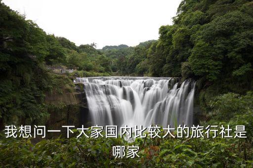 国内旅游最大的公司，比较大型的旅行社有哪些