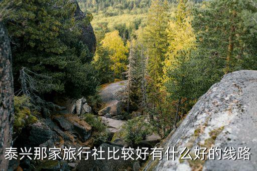 泰兴那家旅行社比较好有什么好的线路