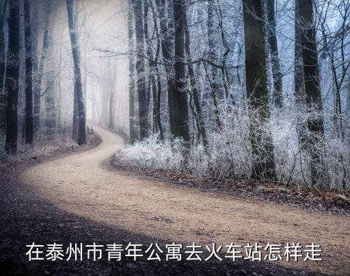 在泰州市青年公寓去火车站怎样走