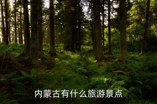 内蒙古有什么旅游景点