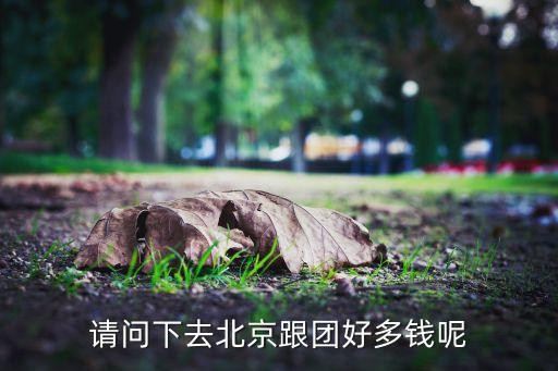 请问下去北京跟团好多钱呢