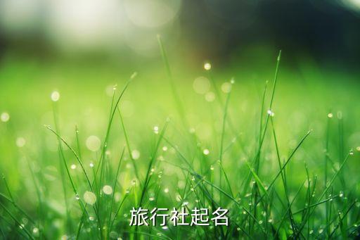 旅行社起名