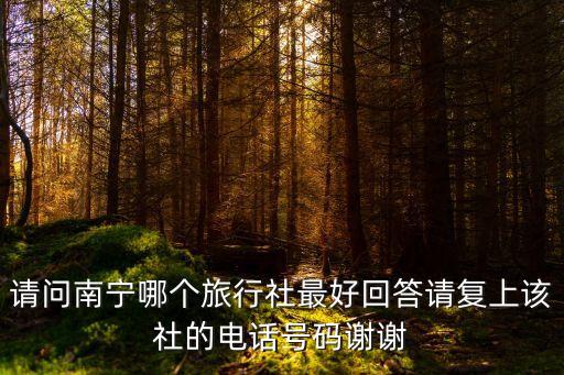 请问南宁哪个旅行社最好回答请复上该社的电话号码谢谢