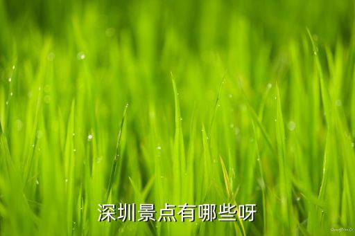 深圳景点有哪些呀