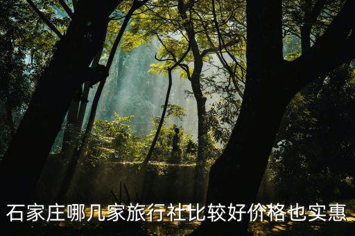 石家庄哪几家旅行社比较好价格也实惠