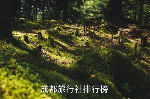 四川旅行社排名前十名单最新，四川优秀旅行社有哪几家啊比较大的社