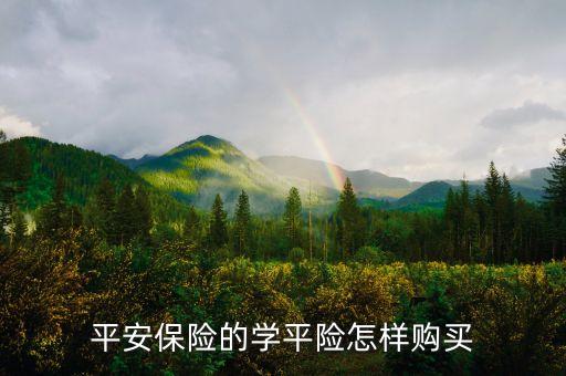 平安保险的学平险怎样购买