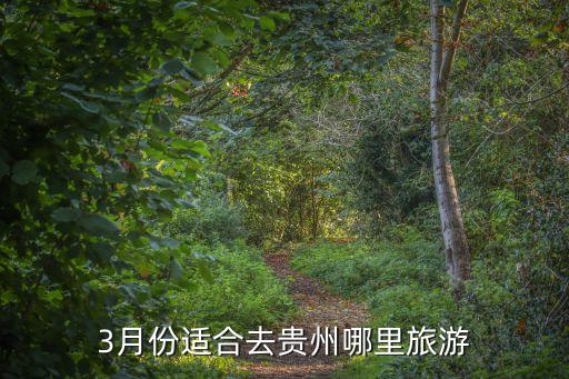 3月份适合去贵州哪里旅游