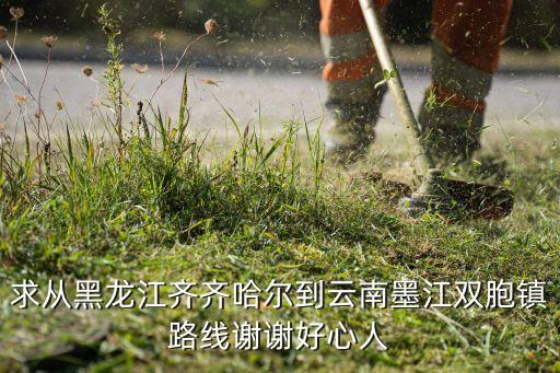 求从黑龙江齐齐哈尔到云南墨江双胞镇路线谢谢好心人