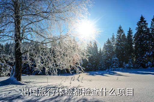 旅游体检有哪些项目可以做，出国旅行体检都检查什么项目