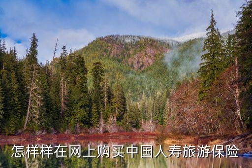 怎样样在网上购买中国人寿旅游保险