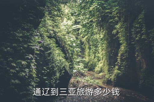 通辽到三亚旅游多少钱