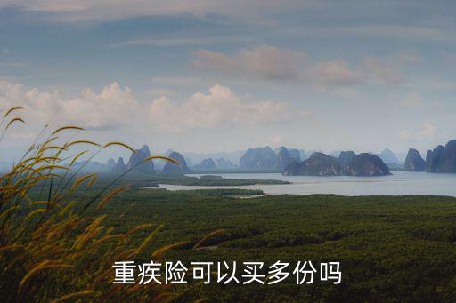 重大疾病险可以买多份吗，一个人可以同时买多份重疾险吗