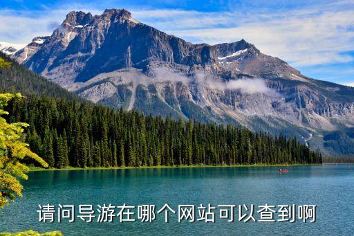 海丰旅游团查询官网电话，请问导游在哪个网站可以查到啊