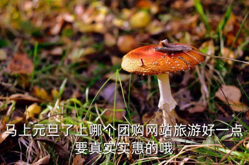 马上元旦了上哪个团购网站旅游好一点要真实实惠的哦