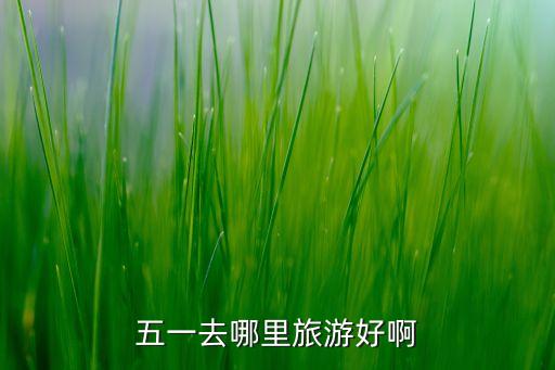 国内五一适合旅游的城市，哪些地方是五一期间旅游的好地方
