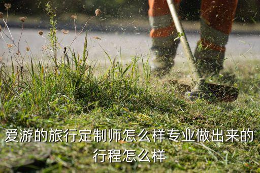 爱游的旅行定制师怎么样专业做出来的行程怎么样