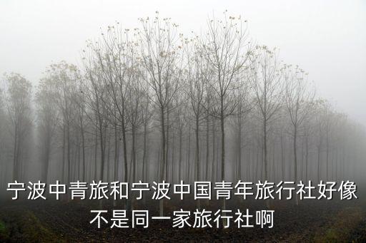 宁波中青旅和宁波中国青年旅行社好像不是同一家旅行社啊