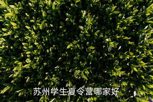 苏州学生夏令营哪家好