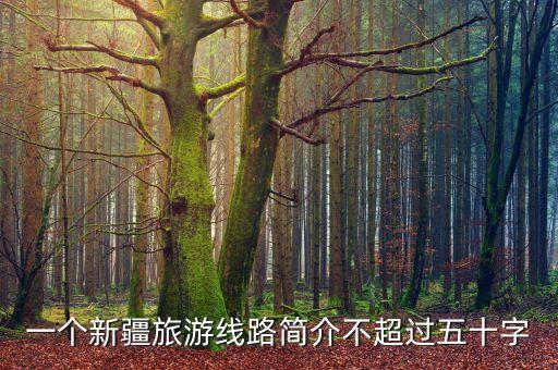 一个新疆旅游线路简介不超过五十字