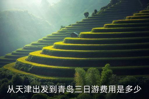 从天津出发到青岛三日游费用是多少