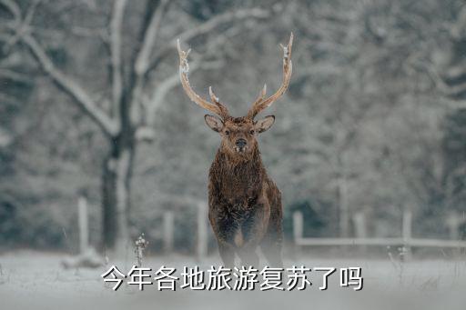 国内旅游业复苏，今年旅游业啥时复苏呢