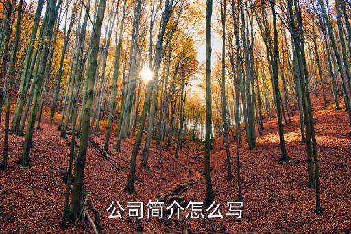 公司简介怎么写