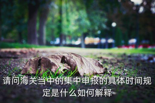 请问海关当中的集中申报的具体时间规定是什么如何解释