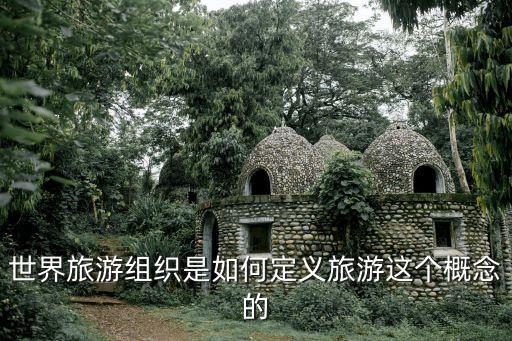 世界旅游组织是如何定义旅游这个概念的