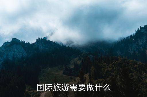 国际旅游需要做什么
