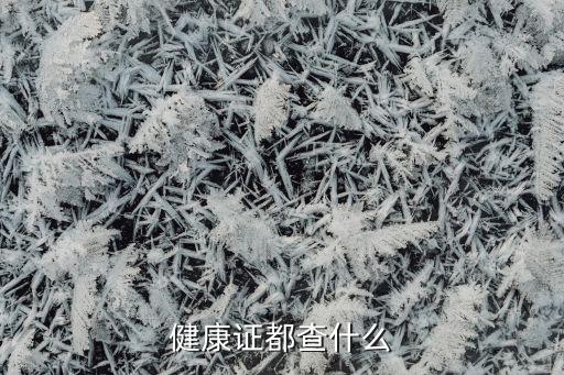 国际旅行健康证都查啥内容，请问办健康证抽血查那几个项目