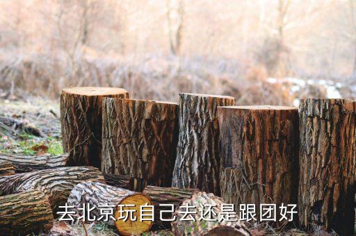 到北京自由行好还是跟团好一点，去北京旅游跟当地团划算还是自己游划算